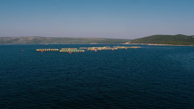 Aerial - Approaching circular cages for fish farming in the Adriatic Sea