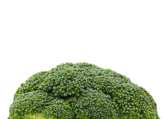 Fresh green head of calabrese broccoli