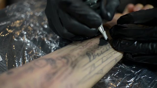 Tattoo Artist Master Make Tattoo of Wolf on Forearm - studio
