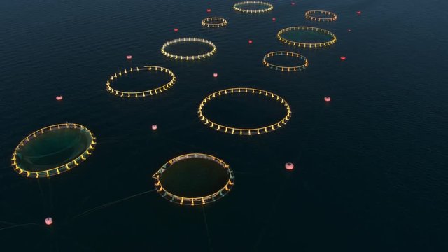 Aerial - Flyover fish farm pools with circular cages in the Adriatic Sea