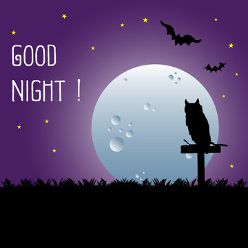 Colorful background with owl standing in the light of a full moon and the text good night written on the sky