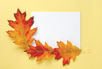 Dry leaves in kraft envelop on yellow background. Autumn concept card.