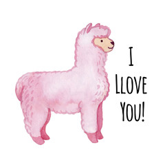 Llama and alpaca collection of cute hand drawn illustrations, cards and design for nursery design, poster, greeting card. Llamas or alpacas clip-art. Cute animals illustration.