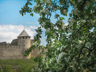 Fototapeta na wymiar Europe. The photo of old fortress on the background and blossom apple tree is on the foreground. The blue sky with clouds are on the photo.