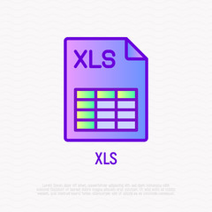 Fototapeta premium XLS file format thin line icon. Modern vector illustration.