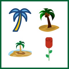 4 flora icon. Vector illustration flora set. palm tree and palm icons for flora works