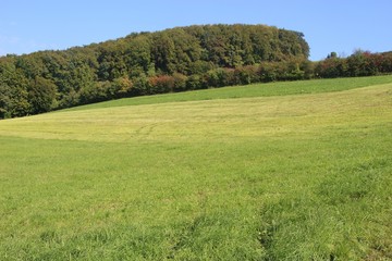 Hilly landscape, fields and forest in upper Austria. Central Europe.