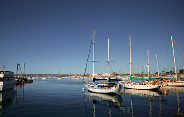 Fototapeta premium Large group of sailboats docked in a harbor in a summertime afternoon landscape