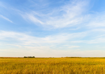 Agricultural landscape. Blue sky, meadow, crop field and farmhouse in the distance