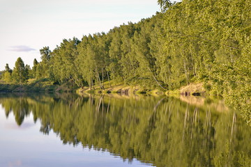 Fototapeta na wymiar reflection in the pond