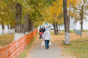 Fototapeta premium Autumn city. The trees have different color foliage. Autumn weather