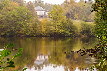 Fototapeta premium Waldspaziergang