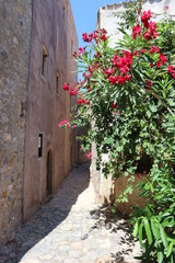 Fototapeta na wymiar Flowers on the wall, narrow street in medieval Monemvasia, Peloponnese, Greece