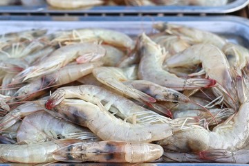 fresh shrimp at street food