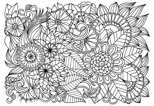 Outline vector drawing of flowers for adult coloring books. Page of floral pattern in black and white