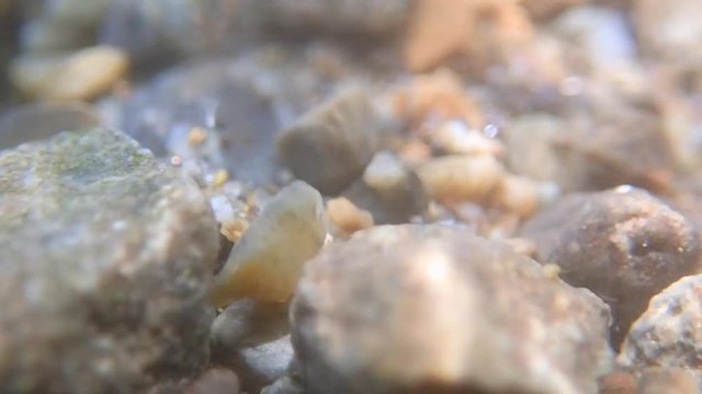 River bottom underwater