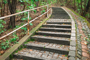 Stone stairs to the forest