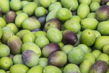 Detail of high quality Ligurian olives