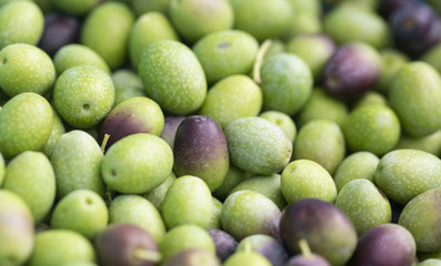 Detail of high quality Ligurian olives