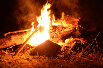 feu de bois