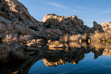 Fototapeta na wymiar Desert Sandstone Hill Reflecting in a Pond at Joshua Tree Park