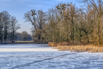 zamarznięty staw parkowy pokryty lodem w zimowy mroźny słoneczny dzień © Jarek Witkowski