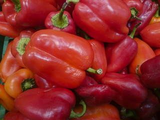 Orange, green and yellow sweet mix bell peppers close up bulgarian pepper fresh, assorted colorful capsicum paprika