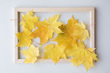 Frame of yellow leaves on a white background. Autumn composition. 