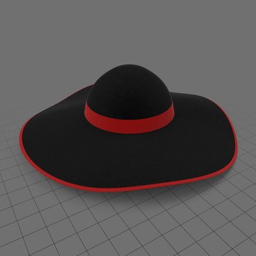 Wide brimmed hat