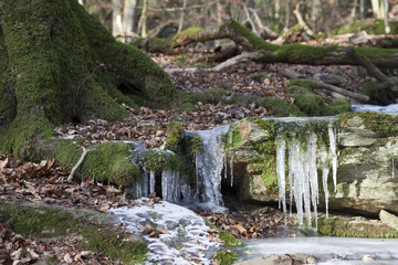 Fototapeta na wymiar Gefrorener Bach im Winter mit Eisfällen