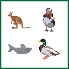 animals icon. kangaroo and shark vector icons in animals set. Use this illustration for animals works.