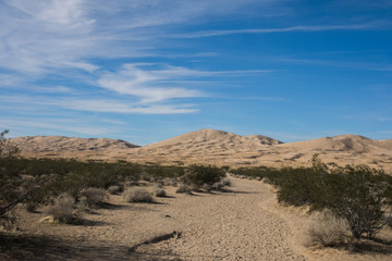 Kelso Sand Dunes on a Sunny Day in California