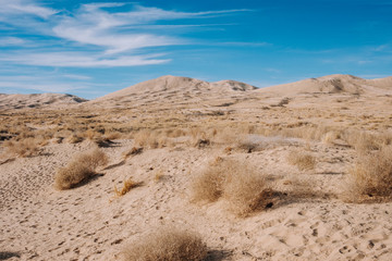 Obraz na płótnie Canvas Kelso Sand Dunes on a Sunny Day in California