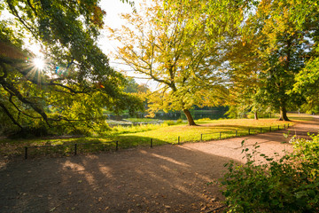 Fototapeta premium Sonnenaufgang im Park an einem Herbsttag