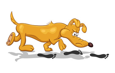 Cartoon illustration of a funny bloodhound dog with fixed look searching footprints - obrazy, fototapety, plakaty