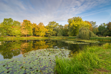 Bäume mit Teich zum Sonnenaufgang im Herbst