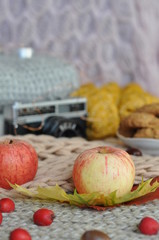 apples, autumn leaves and old camera