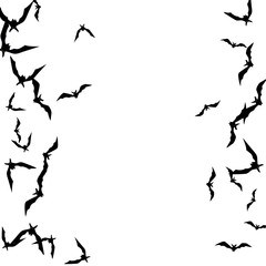 Halloween background with black bats on white. Halloween party card background template. black flying bats.