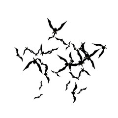 Halloween background with black bats on white. Halloween party card background template. black flying bats.