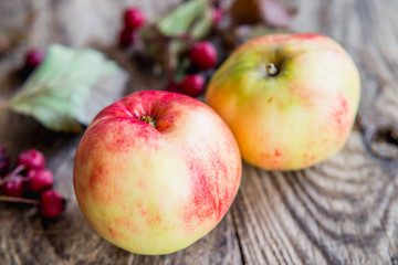 two apples on a wood background