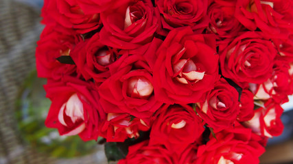 Red white roses banquet