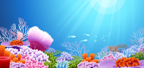 School of fish swimming underwater - 226097903
