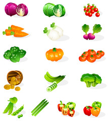 Different types of vegetables