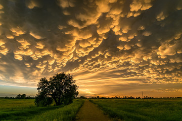Mammatus clouds over north-central Nebraska - obrazy, fototapety, plakaty