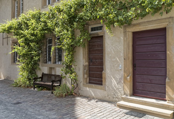 Fototapeta na wymiar Weikersheim, Germany –doors surrounded by vines.