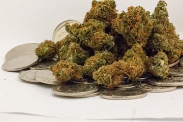A large pile of medicinal marijuana sitting on an even larger pile of Canadian Coins