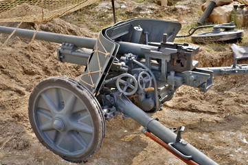 old German cannon on position