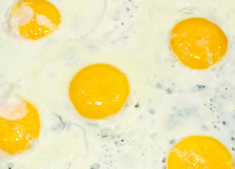 Omelette of five eggs