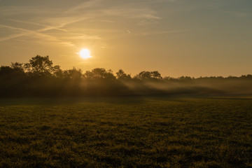 Fototapeta na wymiar Sonnenaufgang mit Bodennebel bei Ebreichsdorf