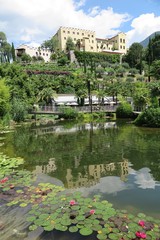 Fototapeta na wymiar Die botanischen Gärten von Schloss Trautmannsdorf, Südtirol